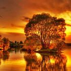 16c1c6b6dd6b542bbafb6ba6c4bf1508.png