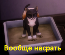 HMzHjvm.png