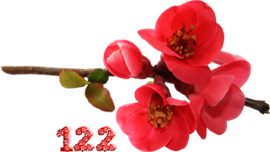 0_fb3e8_830ca68a_M.png