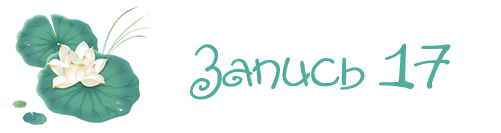 17.png