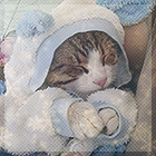 Vtd5Xe4.png