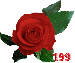 0_fb435_ea0d7aba_M.png