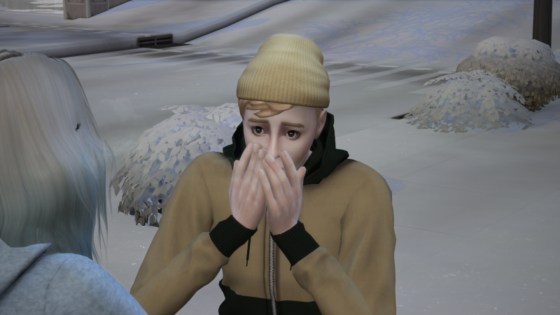 TS4-x64-2019-07-17-18-08-23.png