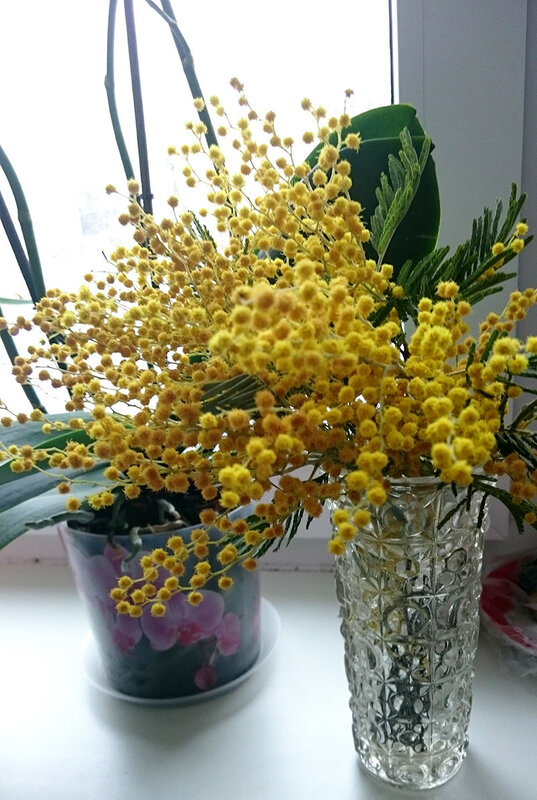0_ee402_7d45872f_XL.jpg