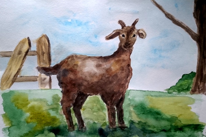 0_1ac245_480a98b_orig