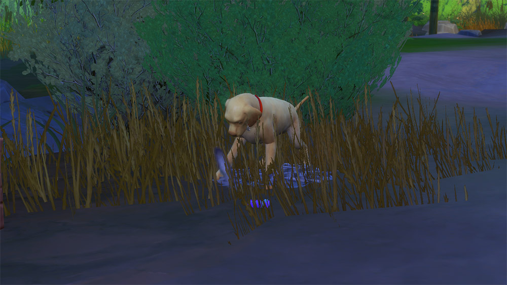 awWBEid.jpg