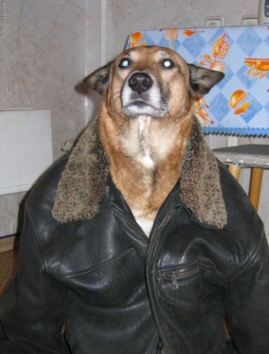 rWdC4Vk.jpg