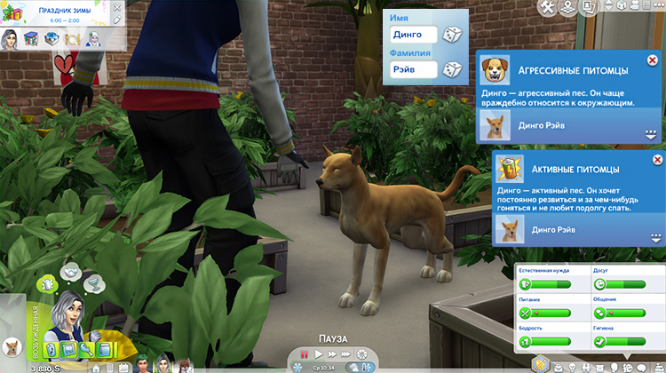 TS4-x64-2020-02-16-15-20-09-23.jpg