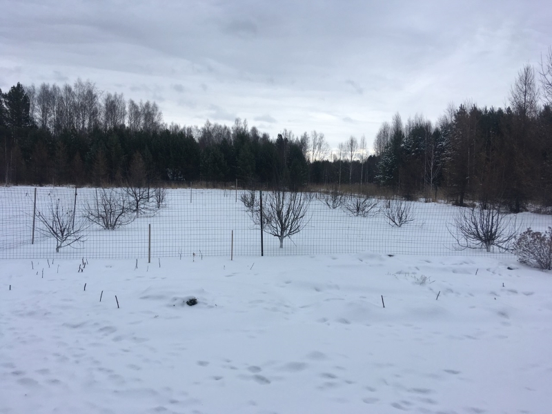 0c76b18976338e7fddf12511f663a9c4.jpg