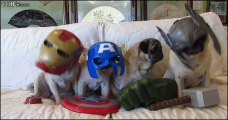 937cd63544d1031631d76ec8e17f6245.gif