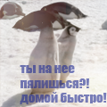 e3c617591e1335acc095f31e2d013d7d.png