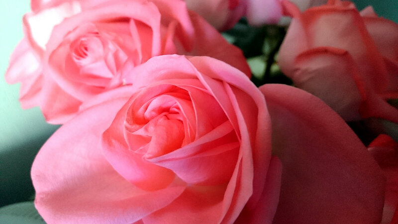 0_100838_4947e6_XL.jpg