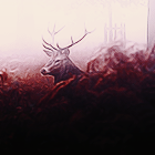 0_120f72_eae025d4_orig