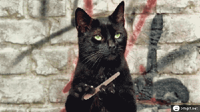 13498769801250.gif
