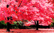 6f6e186d17d44f2257bee73db486115b.png