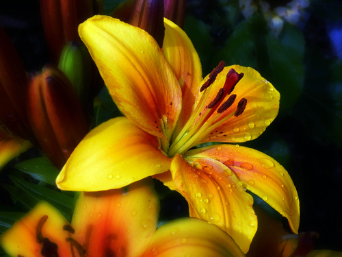 mid_74858_5418.jpg