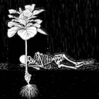 001.gif