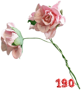 0_fb42c_8a7a0ea0_M.png