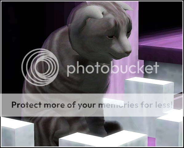 Screenshot-162.png