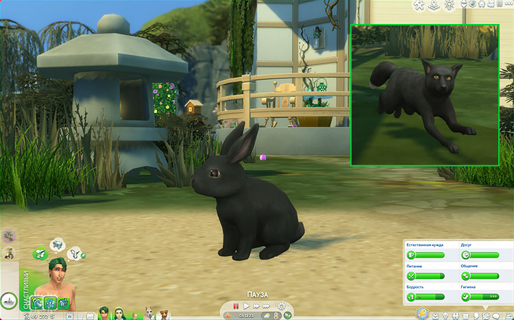 TS4-x64-2022-05-29-16-03-08-52.jpg