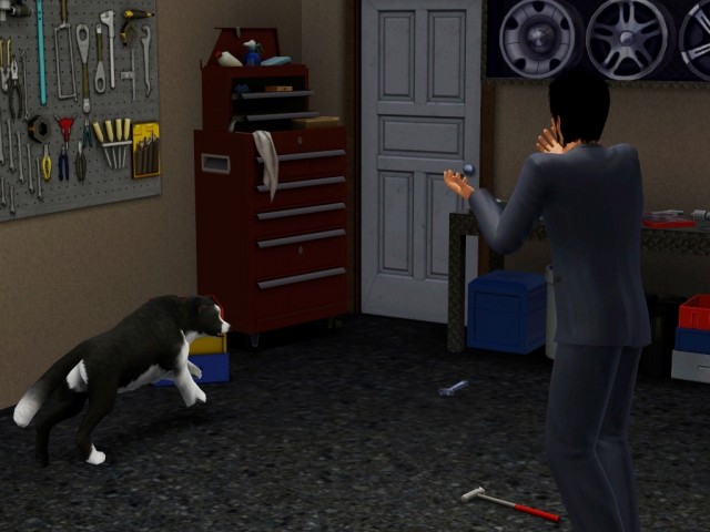 fbde1583311964eef6bbe13ea859df3b.jpg