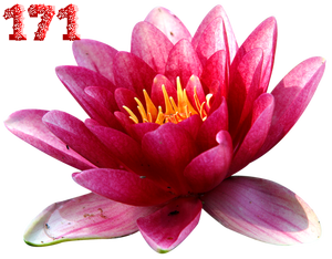 0_fb419_184d5255_M.png