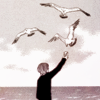 8feae4daba983217a33c24e8159e1834.png
