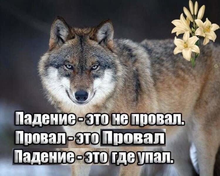 c89fb48cfe7137275b7aa039bc32b50d.jpg