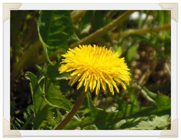58cb8707e83ff5430b3b3e32cc16f616.png