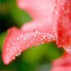 0_d4402_317278ce_orig.jpg