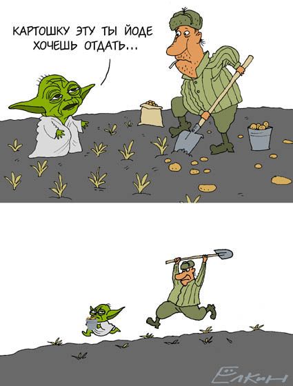 yoda_18.jpg