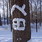 8b8dab32d6604e0beda5f7cdc5297993.png