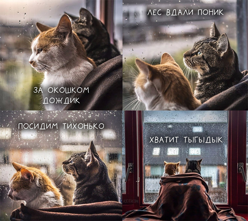 0069f86a7c3b1be40cfdb2c109c3eb84.jpg