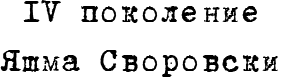 5cbc9b73a1edc5bf2ac99f2322661343.png