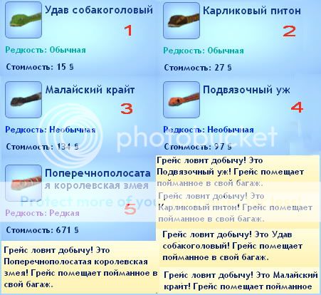 -1.jpg