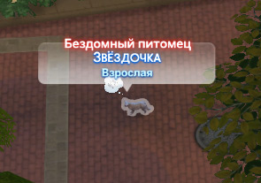 XLnhvhL.jpg