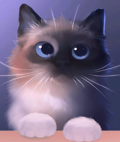78267c2e8cb5cbc48fc62d3abd3cf836.gif