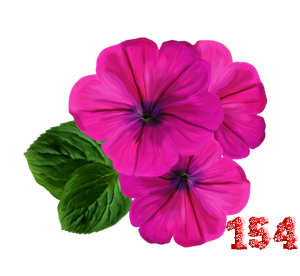 0_fb408_4cf0a9fa_M.png