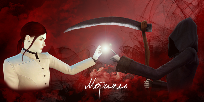 NifoA1T.png