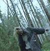 wkDE7mW.gif
