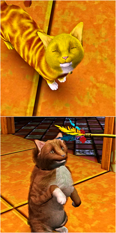 rR6ND.png