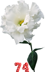 0_fb3b8_59474b3c_M.png