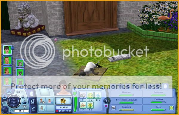 TS3W2011-12-0402-22-33-70.jpg