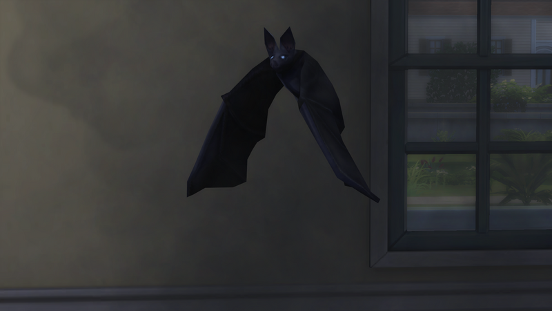 7f05a9D.png