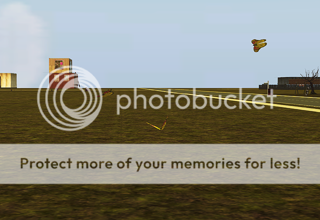 31.png