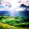 d24a43f4a057fe605a8436351be809b8.png