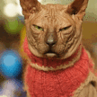 eaI04DZ.gif