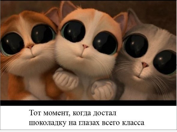 euB18NAwt9U.jpg