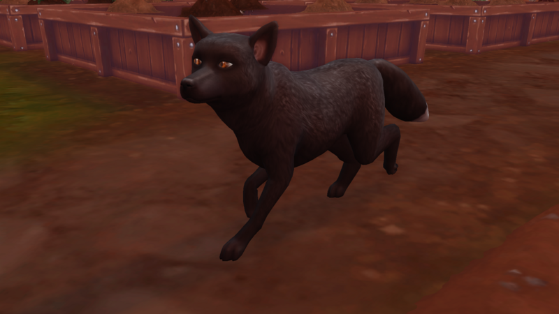 TS4-x64-2021-08-04-14-39-52.png