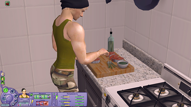 Sims2-EP2-2019-11-02-09-07-56-38.jpg